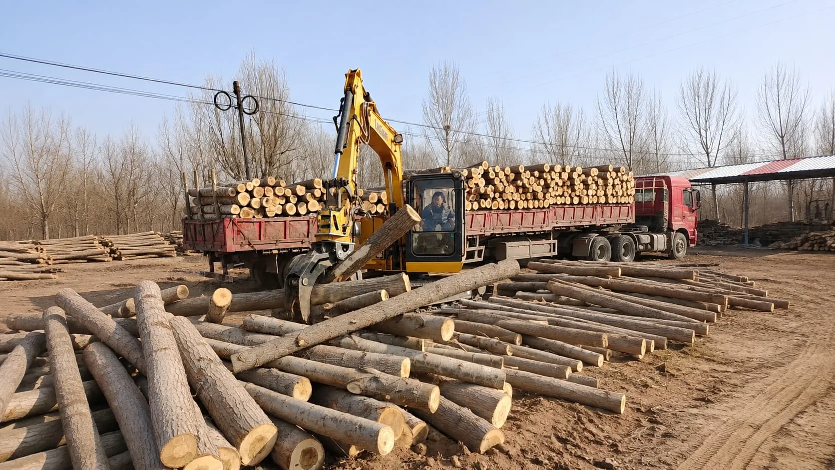 Rotary hydraulic grab handling timber with excavator rotation control